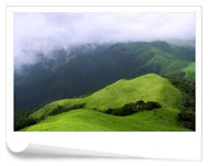 For the Nature Lovers