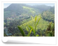 14Days Jeep Safari Tour