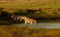 Fairy Castles & Romantic places